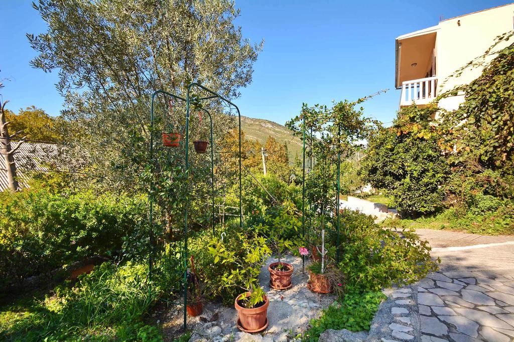 Apartment Rita Tivat Extérieur photo